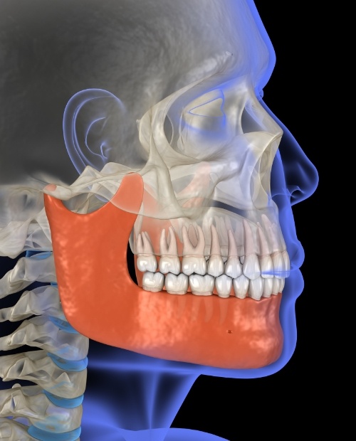 Animated jaw and skull bone showing need for equilibration and occlusal adjustment